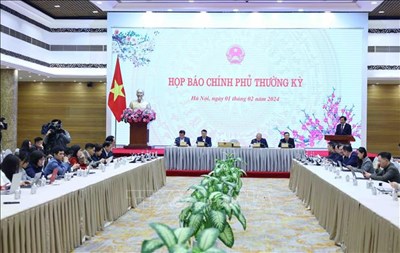 View - Họp báo Chính phủ: Quyết liệt điều tra các vi phạm trong lĩnh vực điện